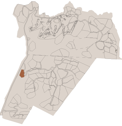 The Forest map