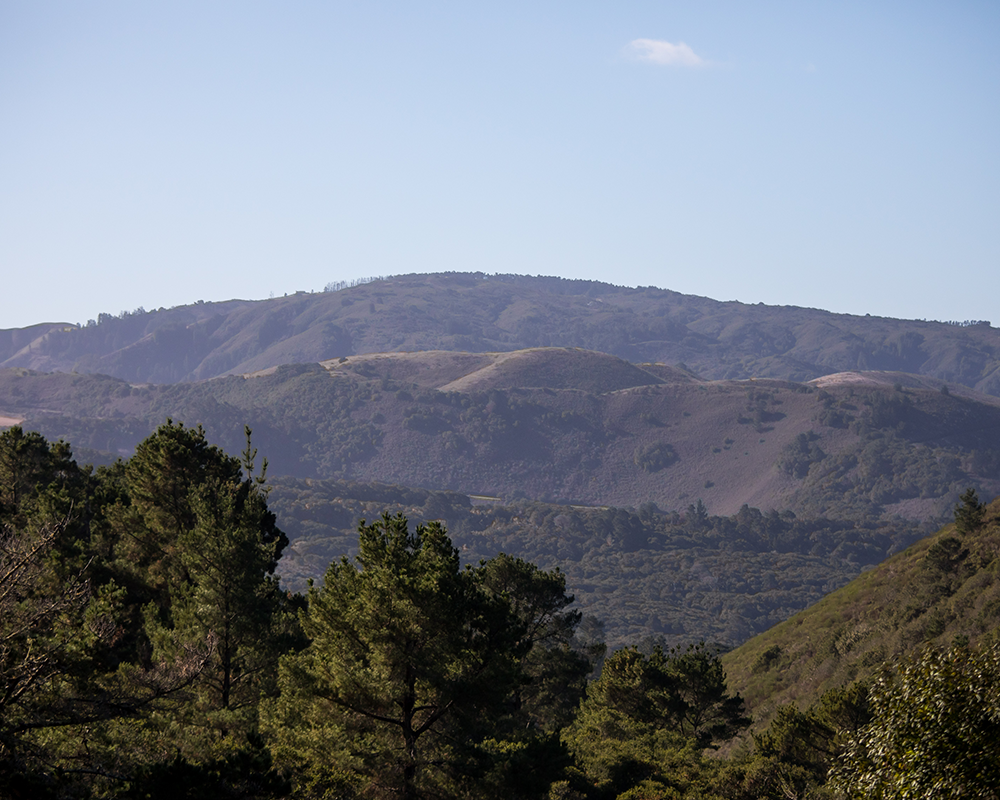Tehama California Land View
